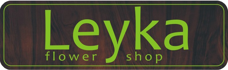 leyka-лого.png