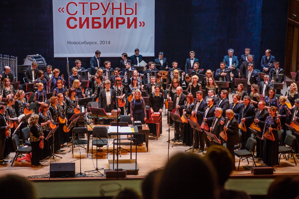 Сводный оркестр Сибири - I Фестиваль Струны Сибири 2014. Фото Андрей Неустроев2.jpg